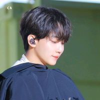 الصوت الأصلي