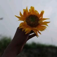 sanjida.islam0340