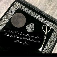 mariam28662