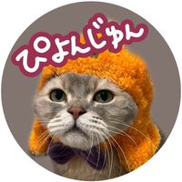 オリジナル楽曲 - ぴよんじゅん