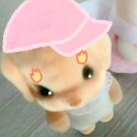 suara asli - 🌹