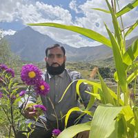 abdul.wahab.mir7
