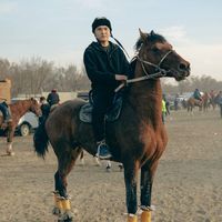 оригинальный звук