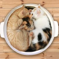00cocoa00