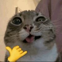 suara asli - rann ff