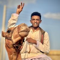 الصوت الأصلي
