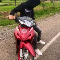 thaibear2