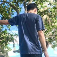 potae4242