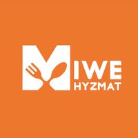 mive_service