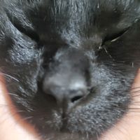 krsdiskaistry