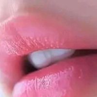 rabah.rabah7441