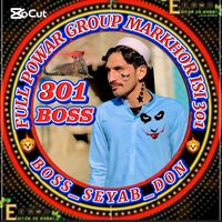 seyab301boss