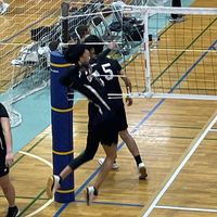 original sound - Notyours