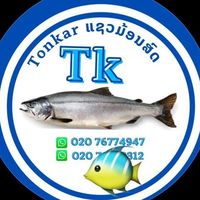 เสียงต้นฉบับ - @Tonkar ຈໍານ່າຍແຊວມ້ອນ🐠