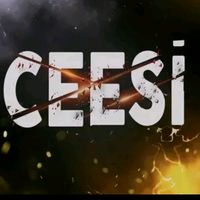 ceesi.pm