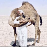 li_h77