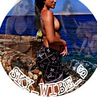 sky_wibe_s