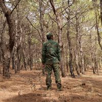 nhạc nền - flo bộc phá