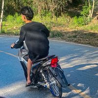 เสียงต้นฉบับ - ไม่ต้องรู้