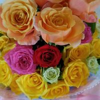 オリジナル楽曲 - 🌊⛳🌹麦わらルフィ(^_-)🌹🍓