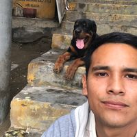 zeusrottweiler0