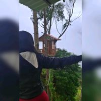 aryalvarado02