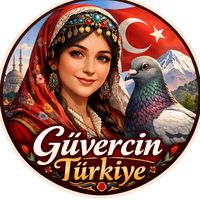 turkiyeguvercin_