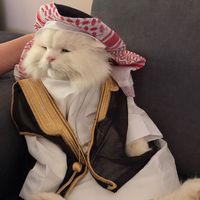 azizah_9949