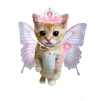 suara asli - kostaa💐🥀
