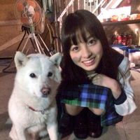 kangaru333