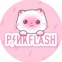 pinkflash.beauty