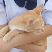เสียงต้นฉบับ - หัวใจสีดํา🩶🖤𖨆