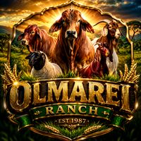 olmareiheritageranch