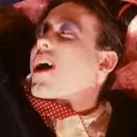 lovecatswilltearusapart