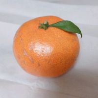 mikan__0424