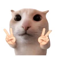 kushwol_17