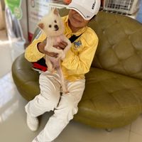 dog_cat64
