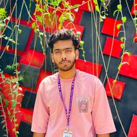 mehedi_hasan_palak