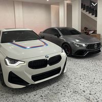 pzly6