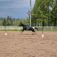 lacowgirl3