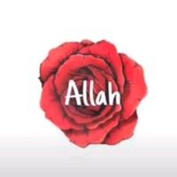 yaallah992