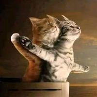 afra.chaudhary6
