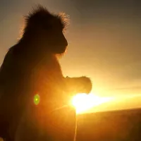 original sound - 1600ashantij