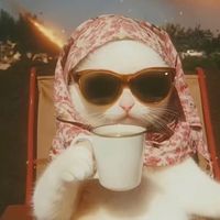 meow126890