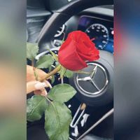 بتمنى انساك