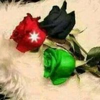 obaidah_obaidah