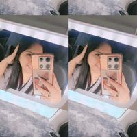 fer_galameer