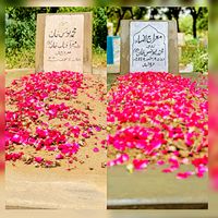 maqsood.ali593