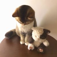 你真正愛過一個人嗎