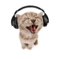 original sound - qwweeeeeq